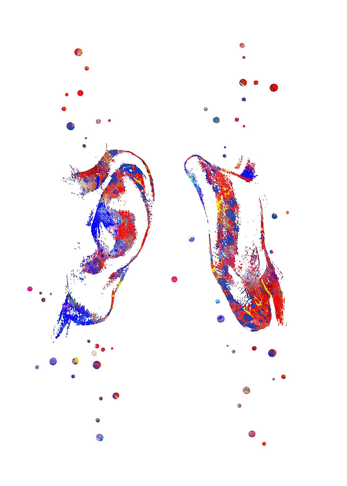 Ear