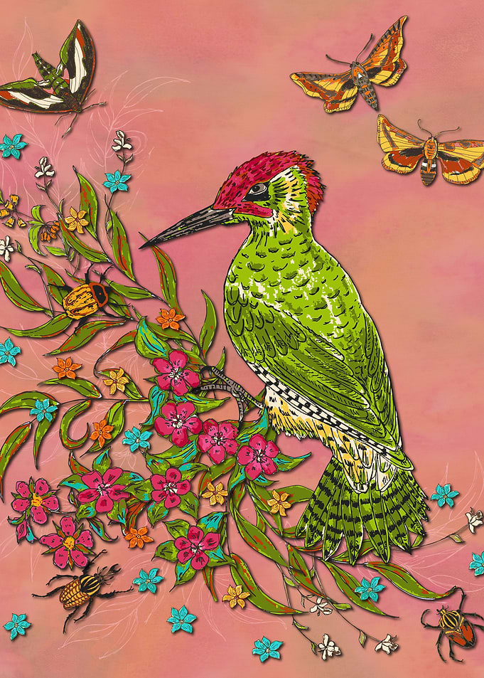 Floral Woodpecker