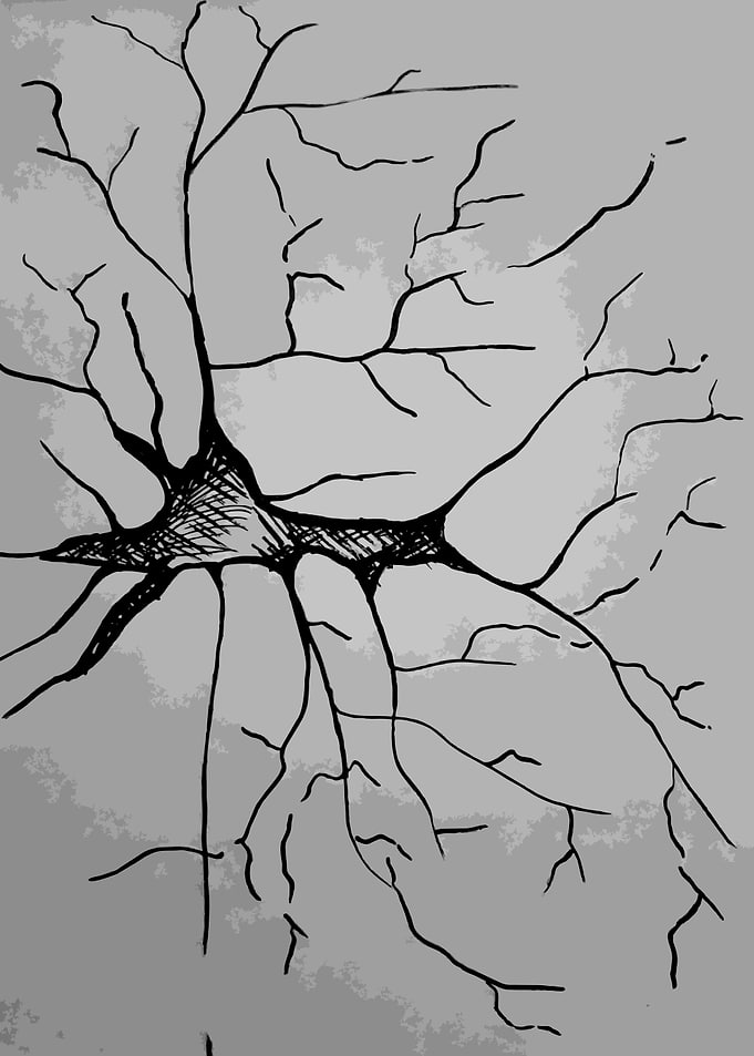 Neuron in Greyscale