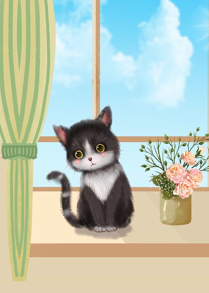 Cat Kitten at the Window