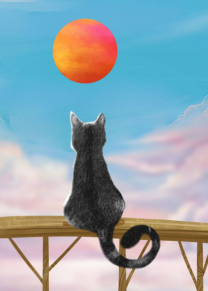 Cat looking at the Sun