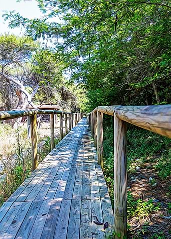 Wooden bridge in a maritim