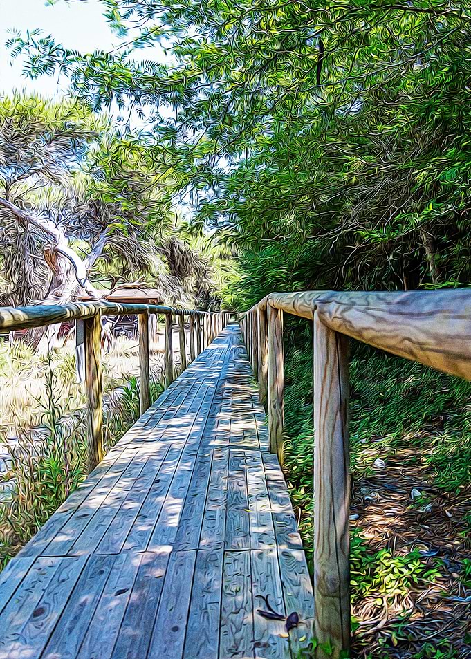 Wooden bridge in a maritim
