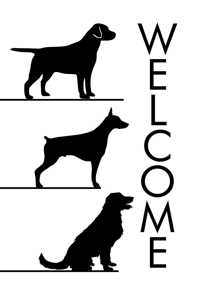 WELCOME DOG THREE BIG