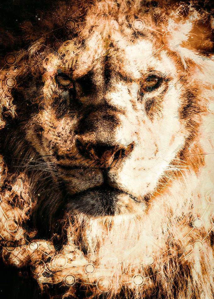 African Lion Fire Painting