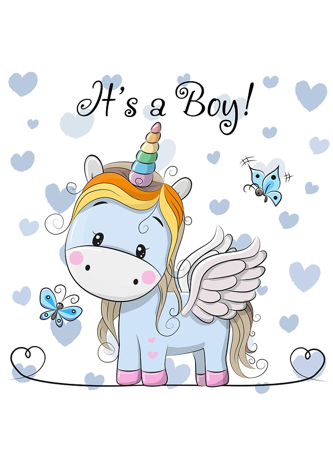 Its a Boy Unicorn