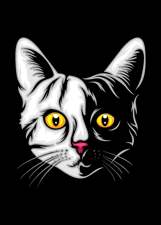 cat lovers