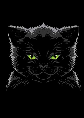 Black Cat
