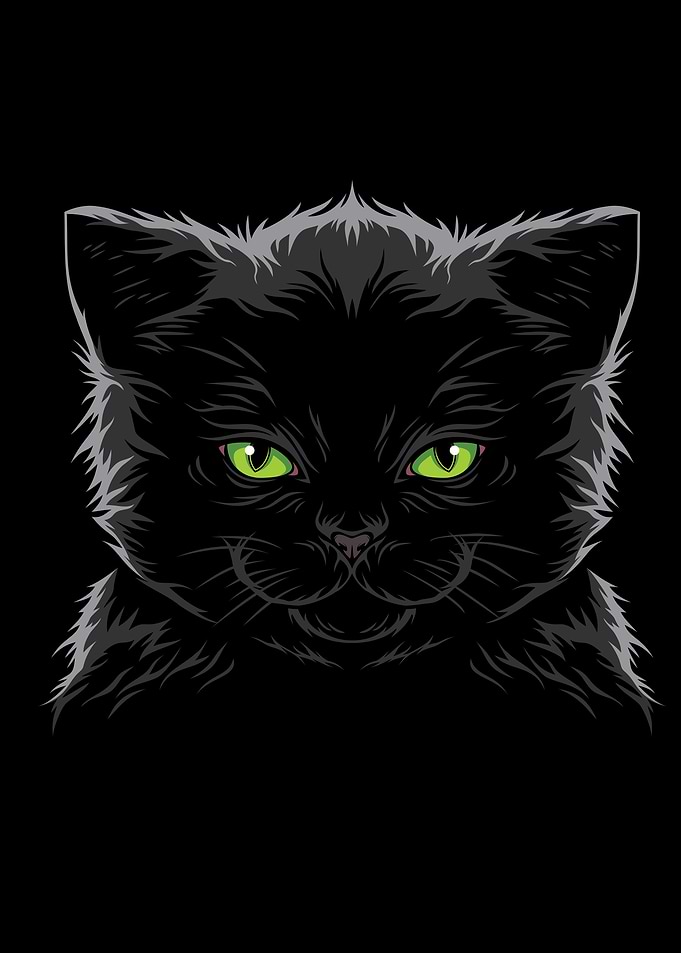 Black Cat