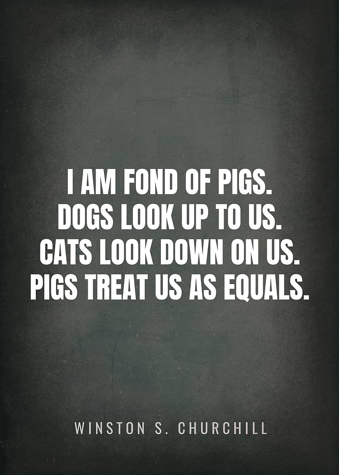 Quotes Winston S Churchill