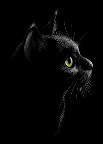 Black Cat