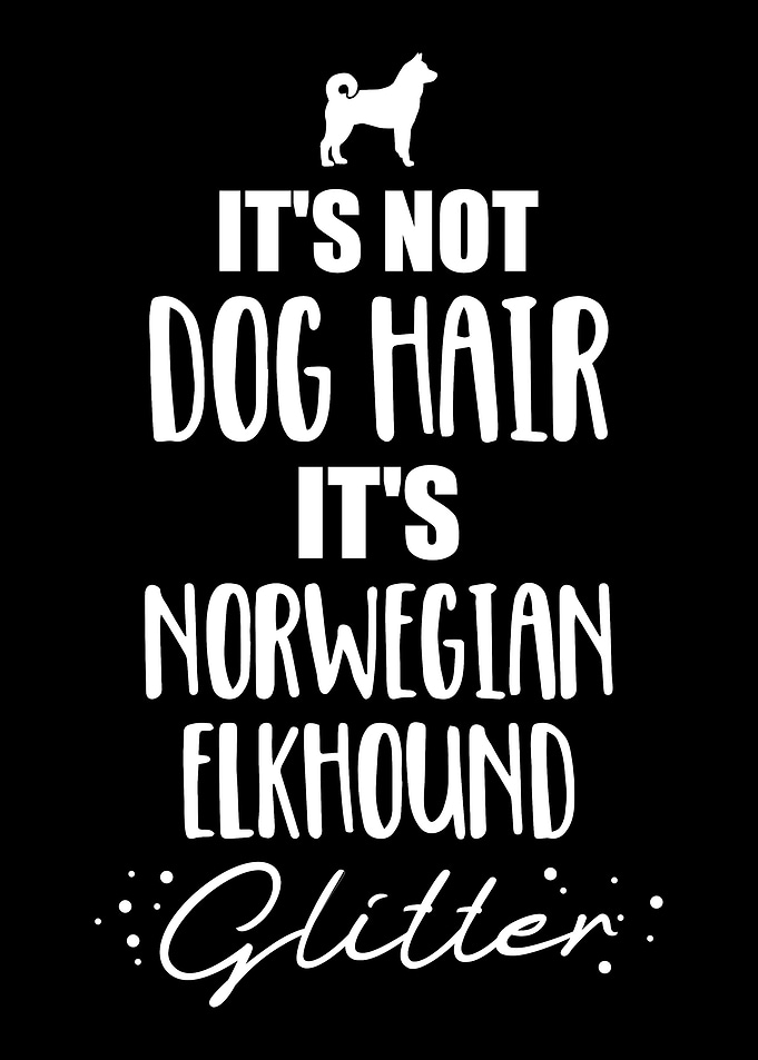 Norwegian Elkhound