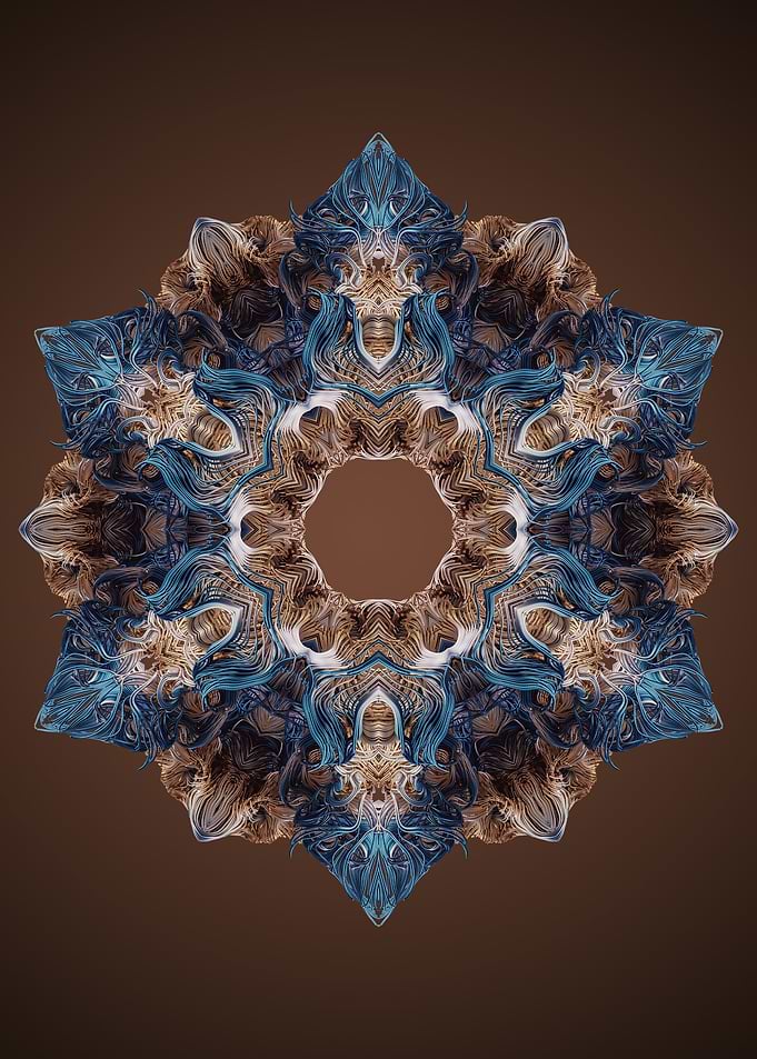 Mandala 22