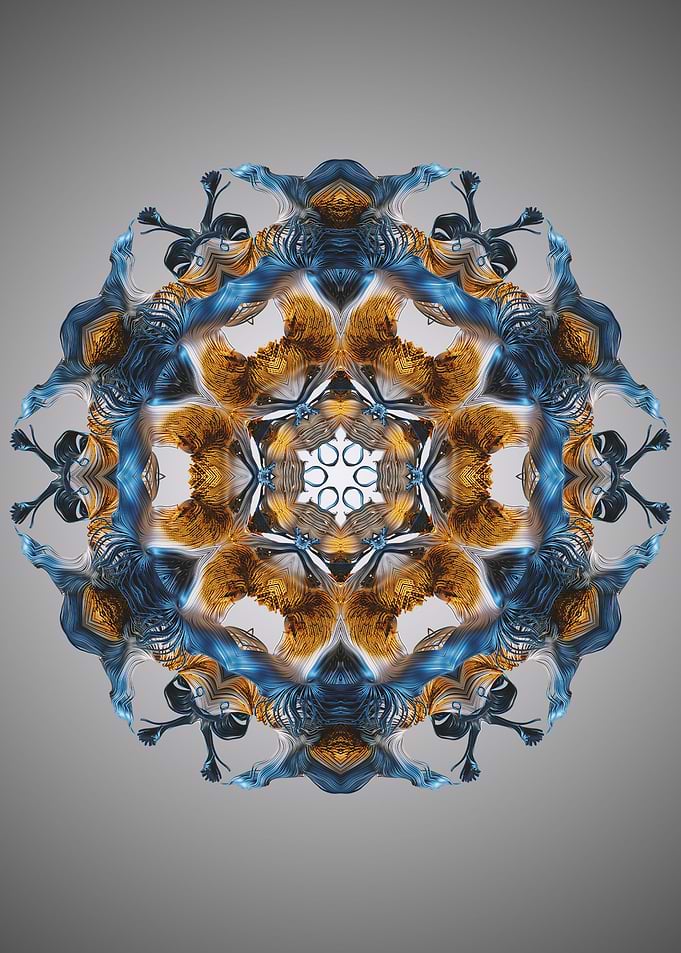Mandala 23
