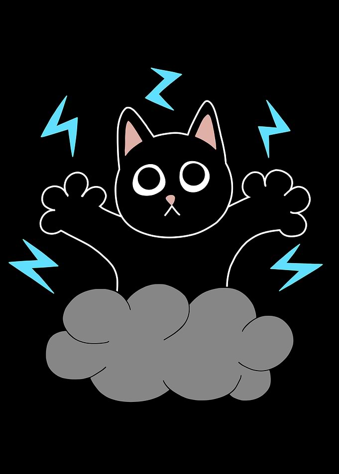 Blue Lightning Black Cat