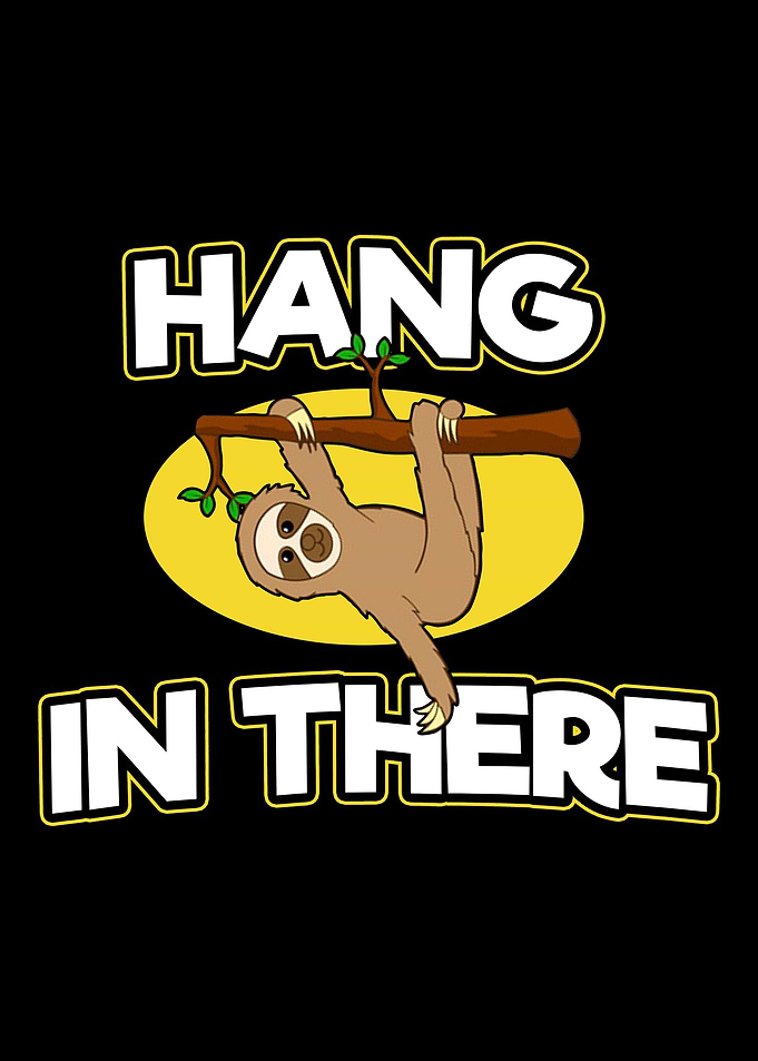 Sloth Hang In There