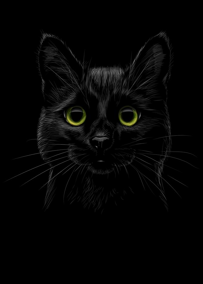 Black Cat