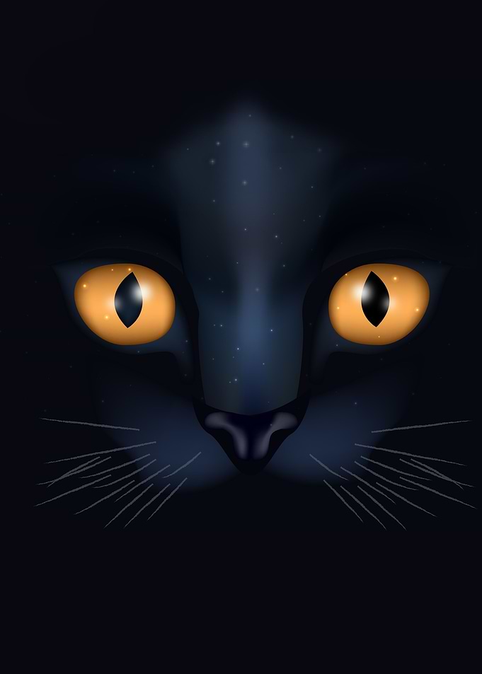 Black Cat