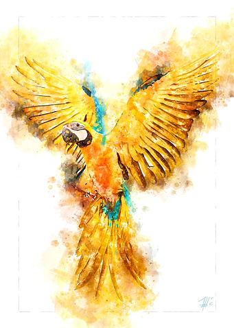 Parrot