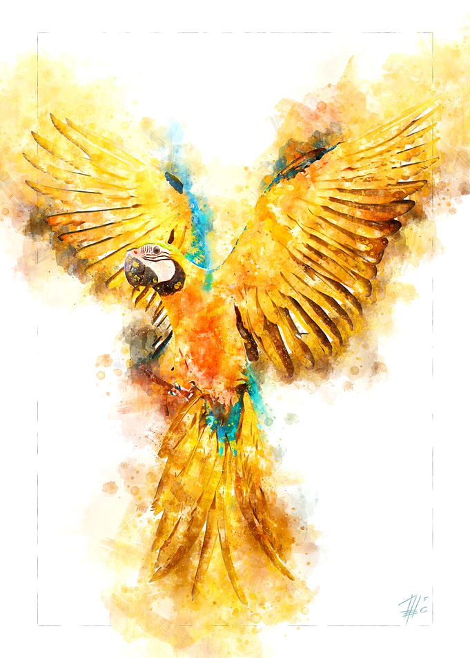 Parrot