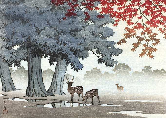 Deer At Nara Park
