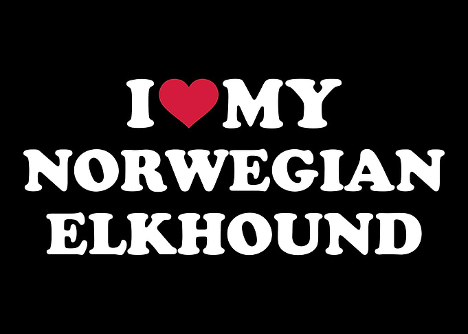 Norwegian Elkhound