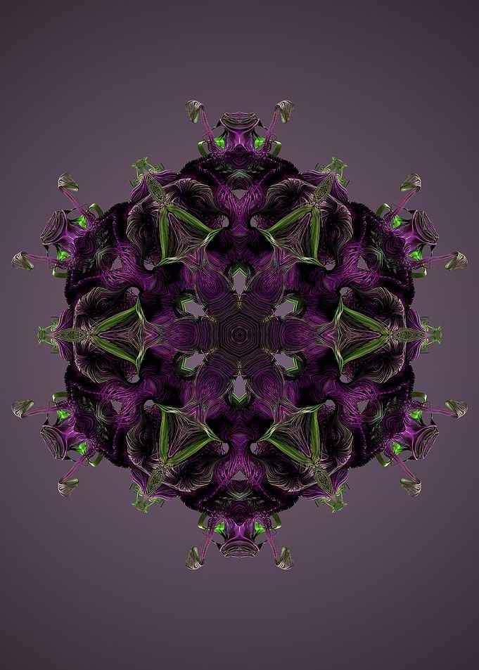 Mandala 17
