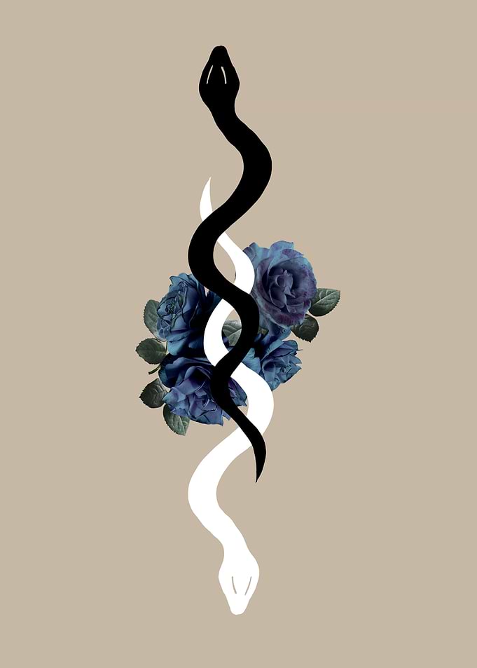 Yin Yang Snake Glam 1