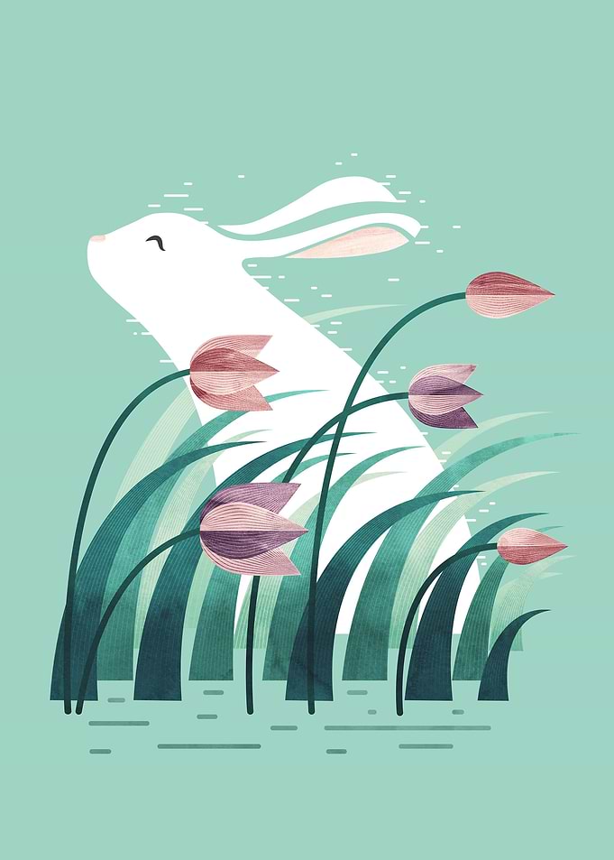 Rabbit Resting
