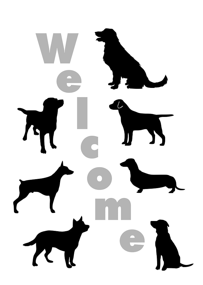WELCOME DOG SQUAD