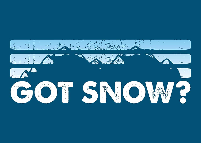 Got Snow Skiing Snowboardi