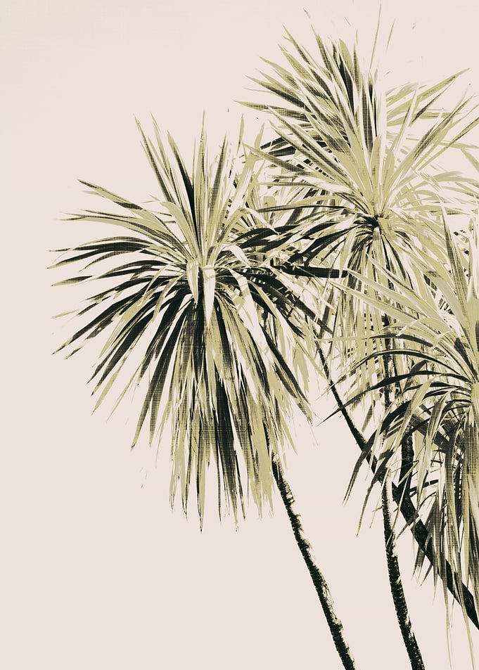 Tropical Palm Trees 1