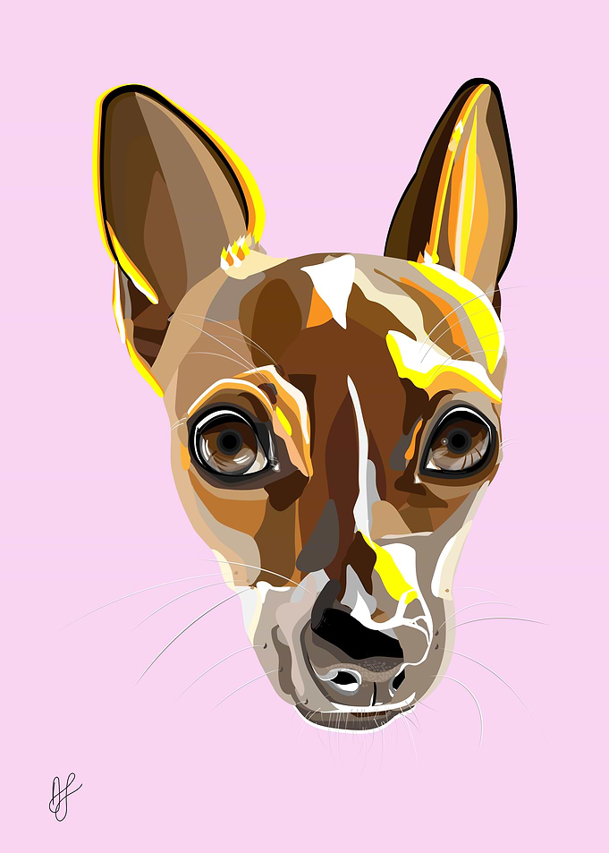 Pet Dog Portrait