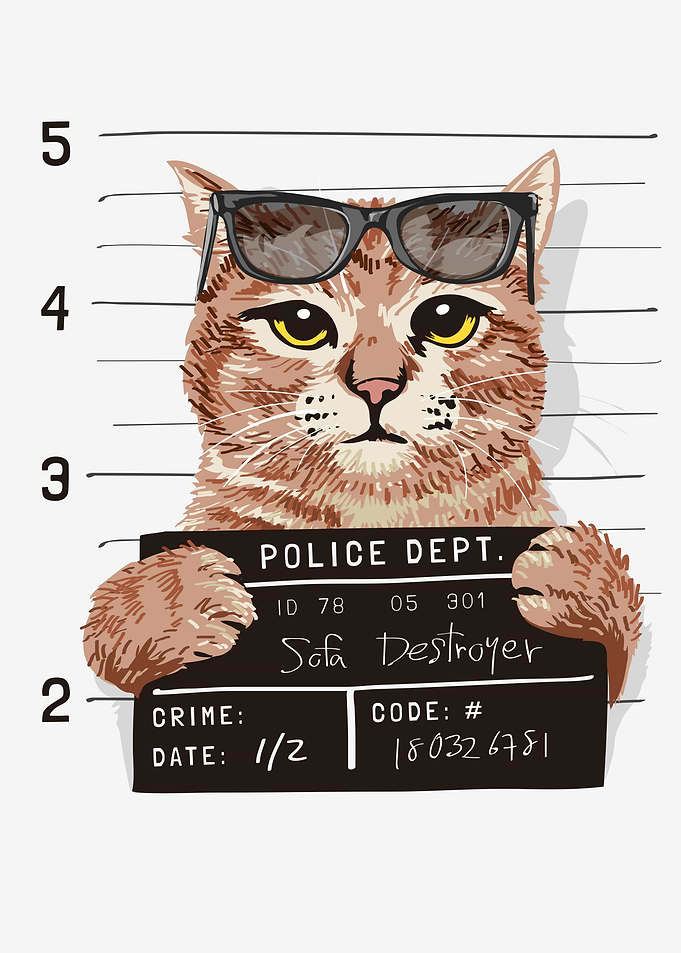 Bad cat at the police stat