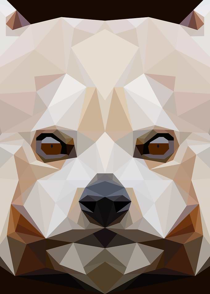 Red Panda