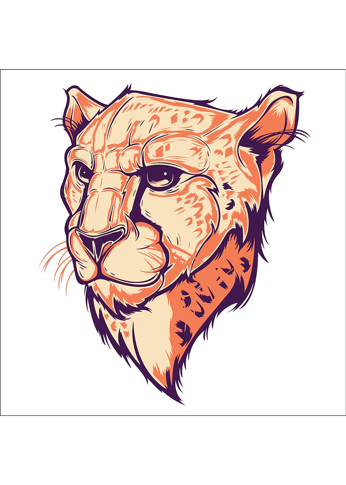 Leopard Illustration