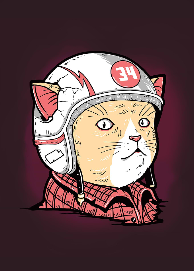 Cat Rider