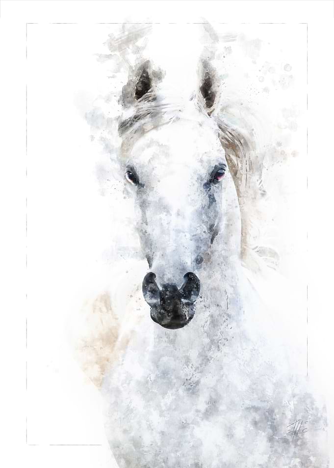 White Horse