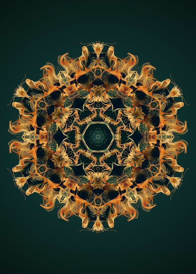 Mandala 31