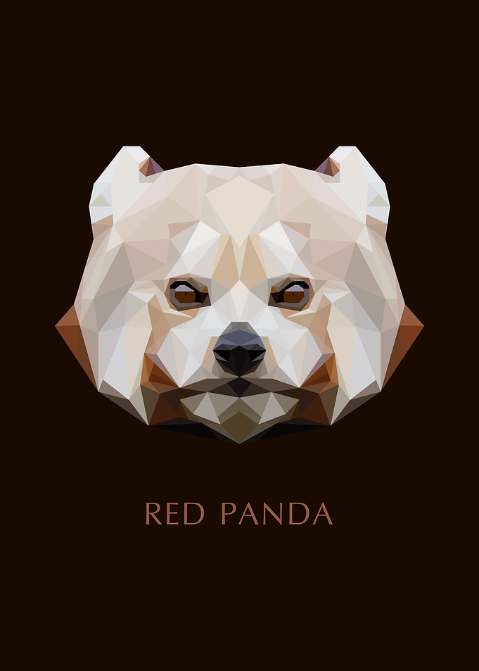 Red Panda