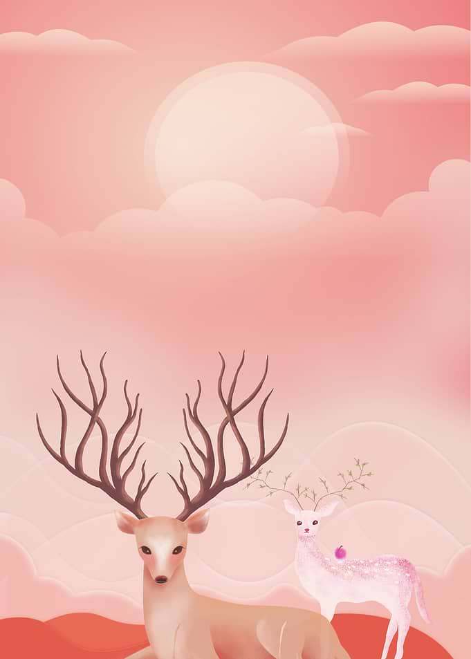 Beautiful Deer Animals