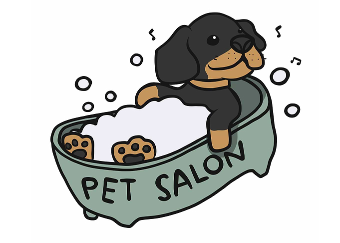 Dachshund dog shower salon