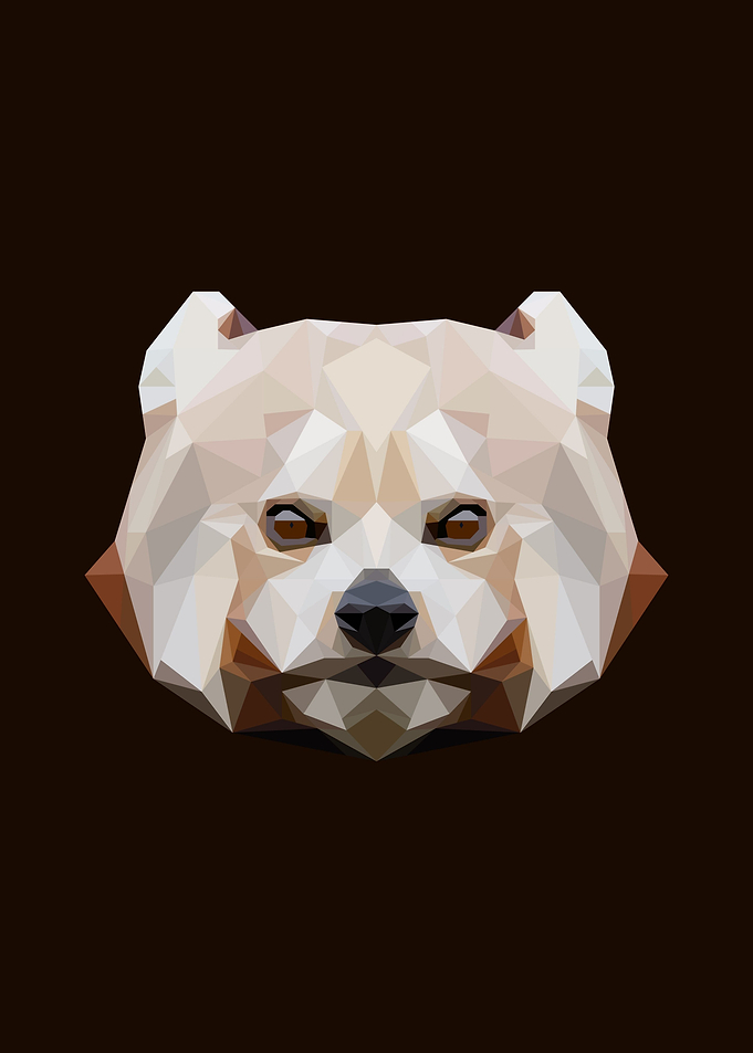 Red Panda