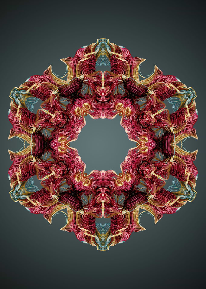 Mandala 25