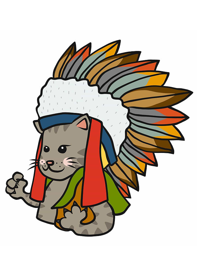 Tabby cat American Indian