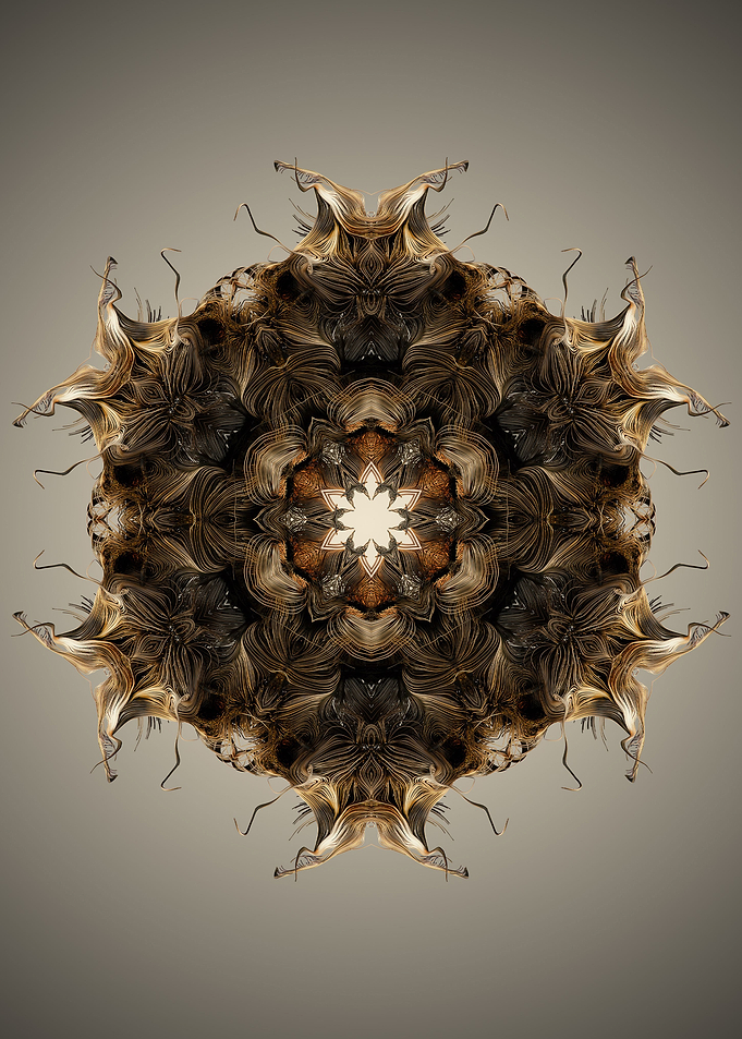 Mandala 28