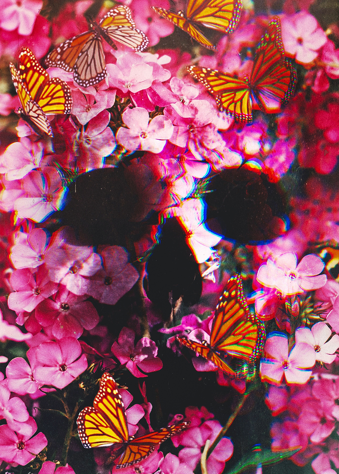 Pinkish Flowers