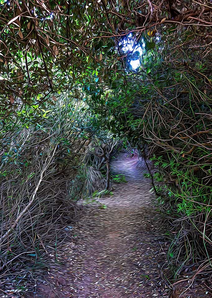 Mediterranean bush