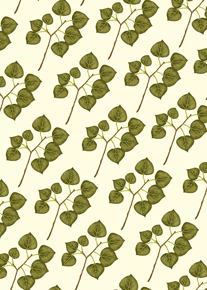 Quaking Aspen Leaf