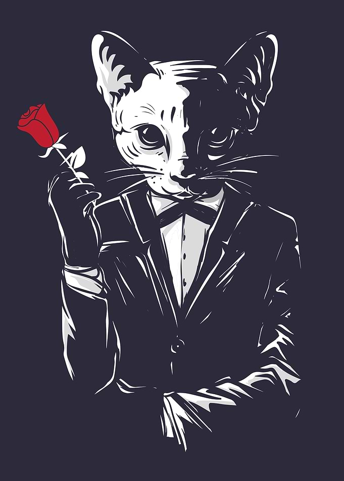 Cats